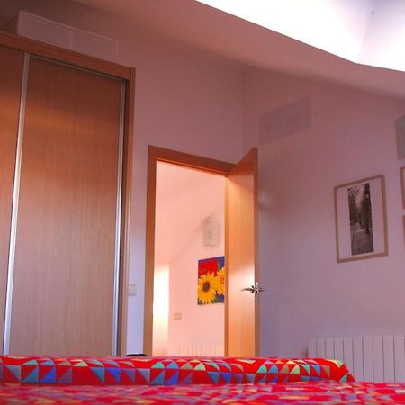 Apartamento Vista Al Ara アインサ エクステリア 写真