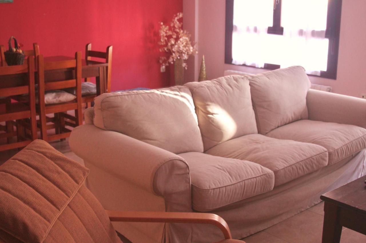 Apartamento Vista Al Ara アインサ エクステリア 写真