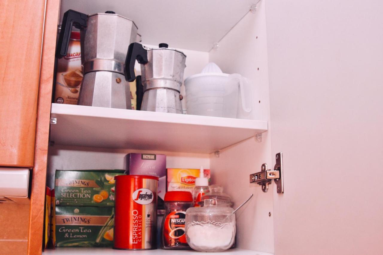 Apartamento Vista Al Ara アインサ エクステリア 写真