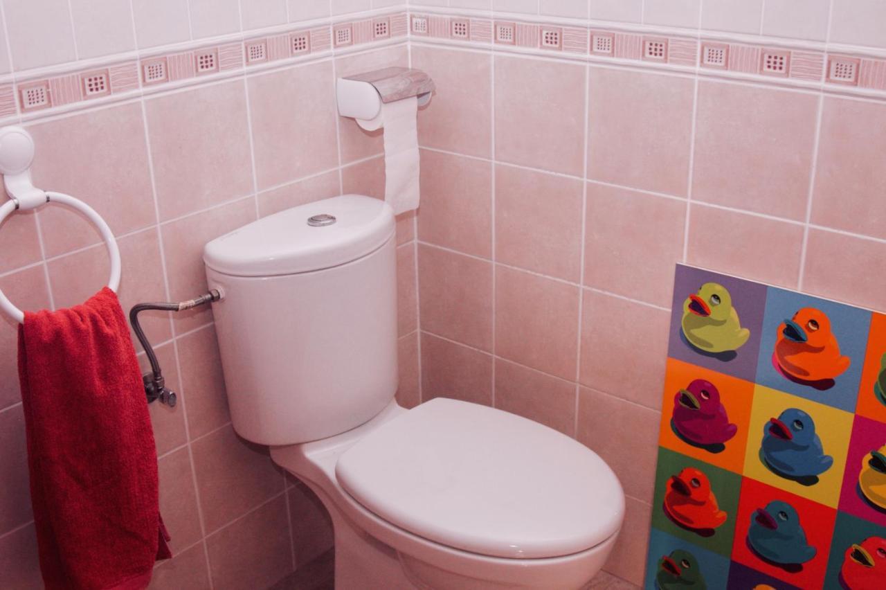 Apartamento Vista Al Ara アインサ エクステリア 写真